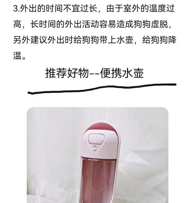 夏天狗狗的健康需注意什么？（炎热夏季如何照顾你的爱犬）