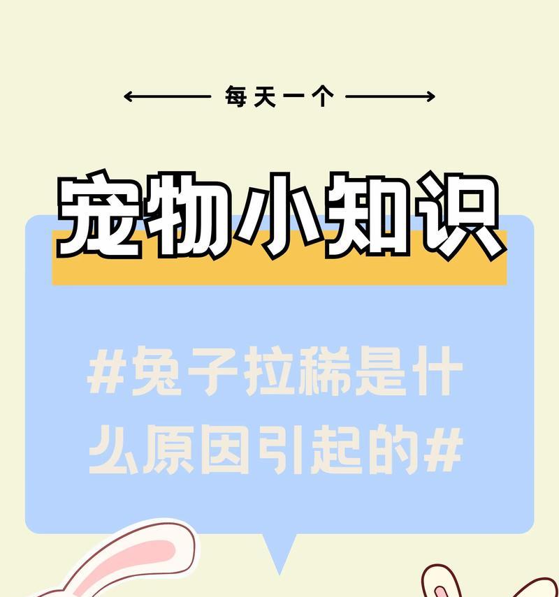 兔子的日常饮食——健康饲养秘籍（探寻兔子的饮食习惯及合理搭配）