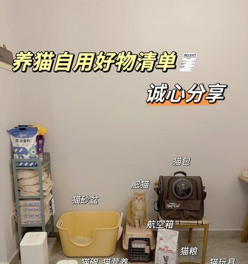 新手养猫必备指南（从准备到照顾，轻松养好宠物猫）