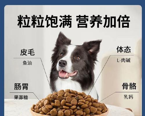 金毛狗的理想食粮（让金毛健康成长，从合适的狗粮开始）