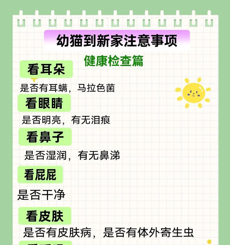 养猫须知（养猫前的必备知识，它们的需求与喜好。）