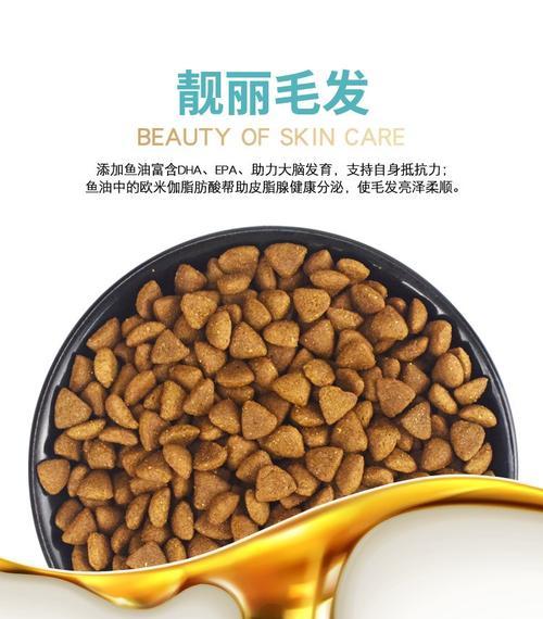 约克夏狗应该吃什么样的狗粮？（了解约克夏狗的营养需求，为它选择合适的狗粮）