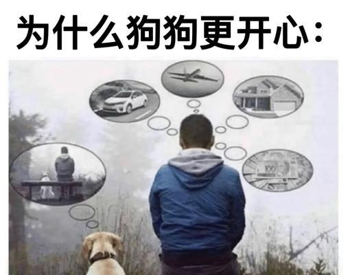 狗狗的伤心源于何处？（探寻狗狗伤心的原因与解决方法）