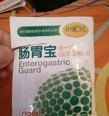 一个月喝泰迪的好处——宠物健康和快乐（泰迪喝什么？了解宠物饮食需求，让它们健康成长）