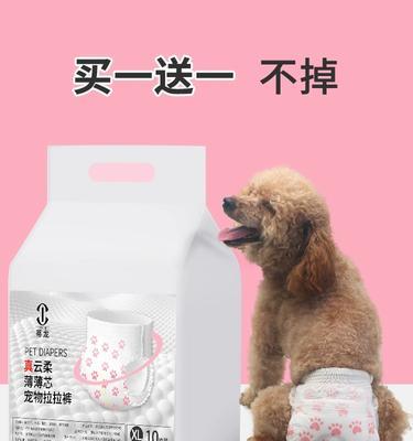 小泰迪的月经周期及相关注意事项（了解小泰迪的生理周期，为它的健康提供关怀与保护）