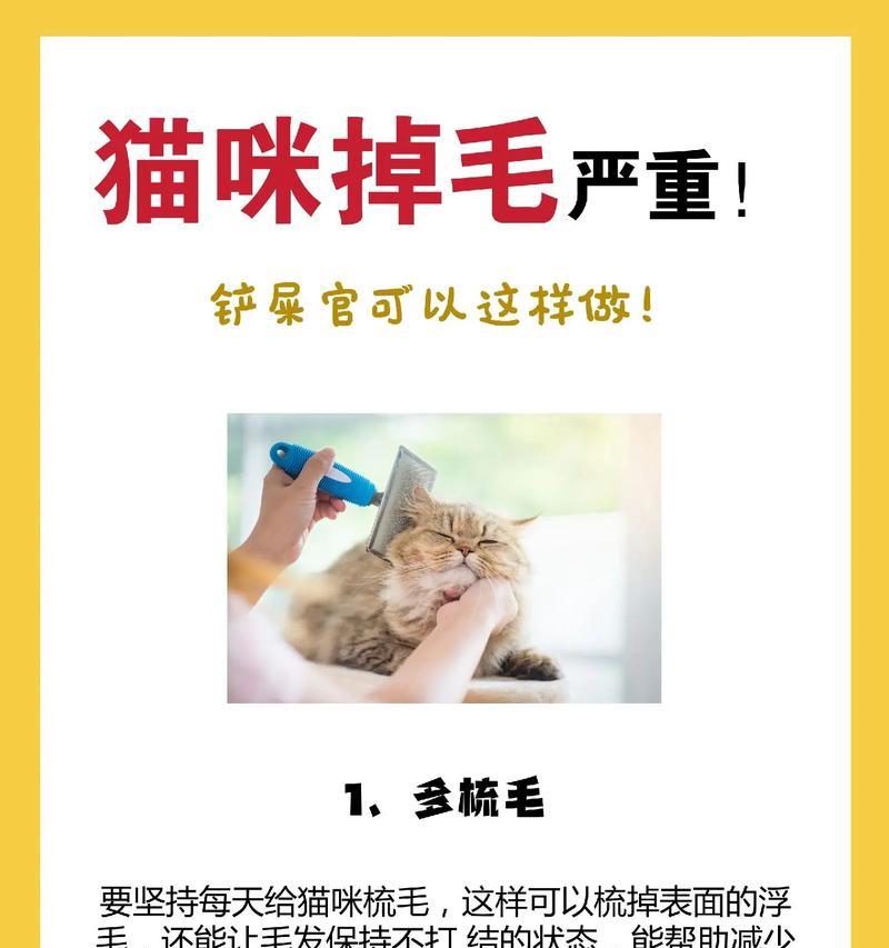 如何帮助猫咪控制掉毛问题？（饮食调节是关键）