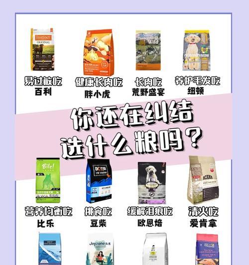 提升狗狗毛量的食物有哪些？（增加狗狗毛量的有效饮食调理方法）