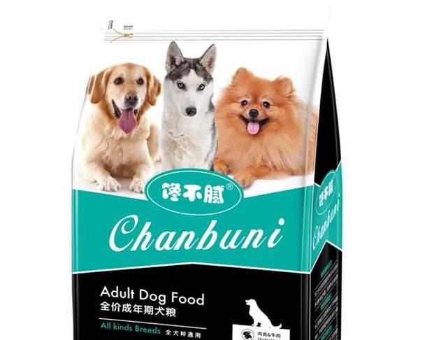 边境牧羊犬的营养需求和饮食安排（边境牧羊犬的饮食习惯和健康食谱）