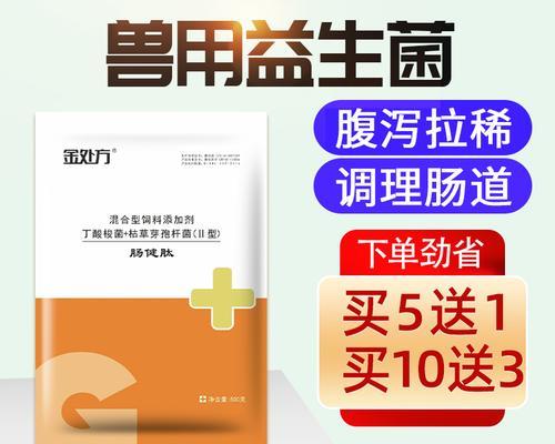狗空怀的原因及治疗方法（深入了解狗空怀的因素，科学应对狗空怀问题）