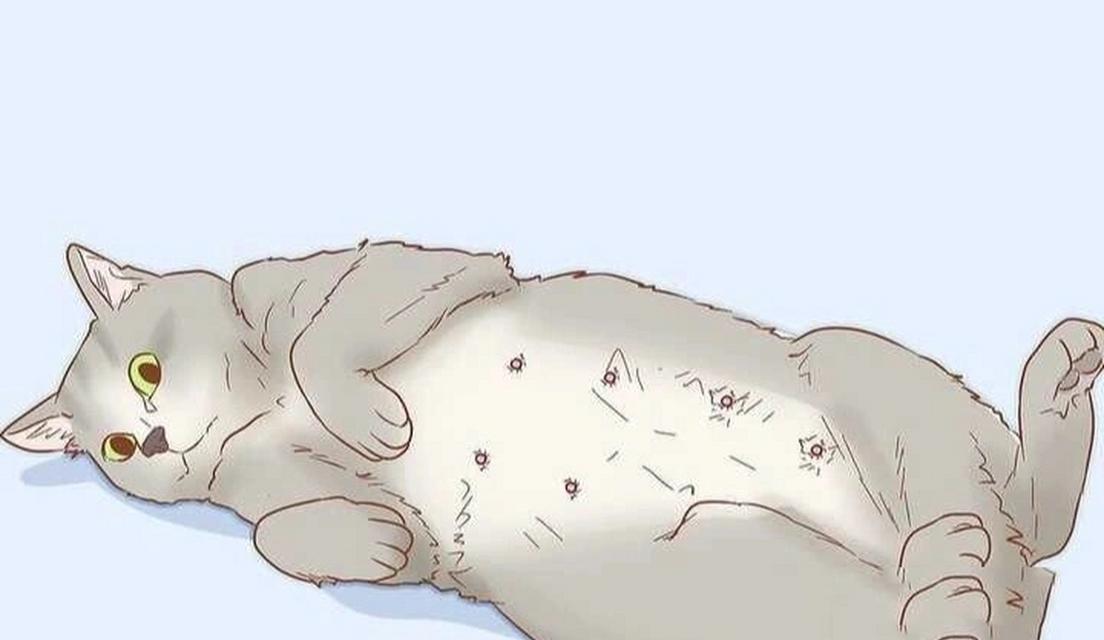 猫咪怀孕期间的注意事项（保健、饮食和行为调整，确保母猫和胎儿的健康）