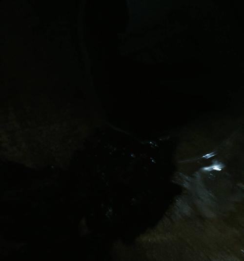 狗拉黑色大便可能患上的疾病（黑色大便的原因及如何处理）