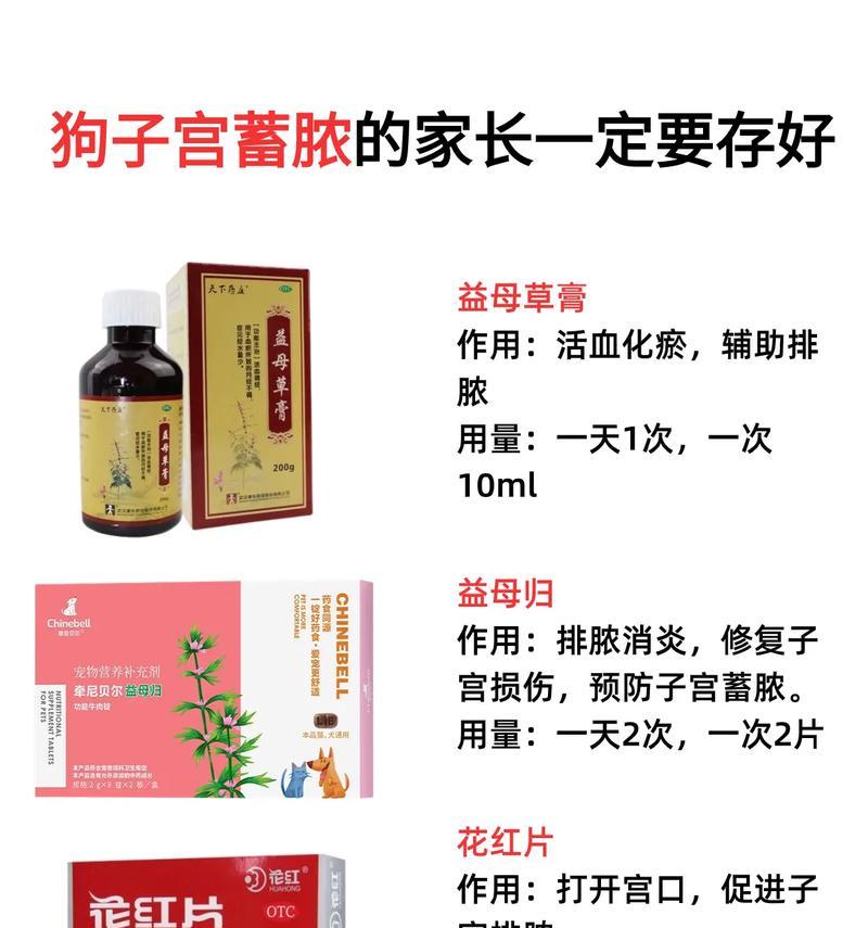 母狗绝育后的补养饮食指南（为你的宠物提供正确的营养和保健）