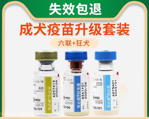 六联疫苗（解析六联疫苗的疾病预防范围及其关键优势）