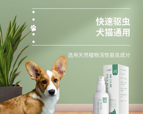 如何为狗狗治疗跳蚤感染（选择合适的跳蚤药物来保护您的爱宠）