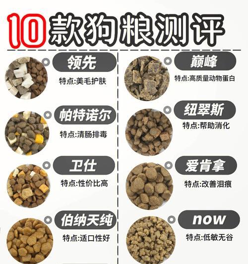 幼狗狗粮的特点及选择要点（为你的幼犬提供均衡营养，）