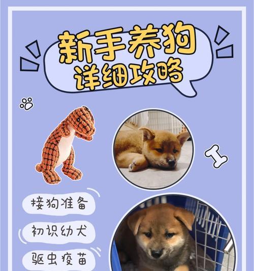 狗狗驱虫后合适的疫苗接种时间及注意事项（保护狗狗免受寄生虫和疾病的侵害，）
