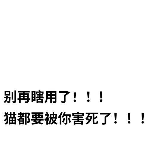猫砂（猫咪的健康与幸福，离不开猫砂的选择）