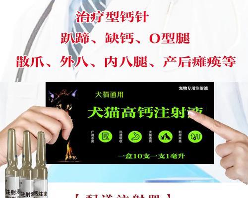 狗狗腿软没劲，如何选择合适的药物治疗（了解常见的药物治疗狗狗腿软的方法和注意事项）
