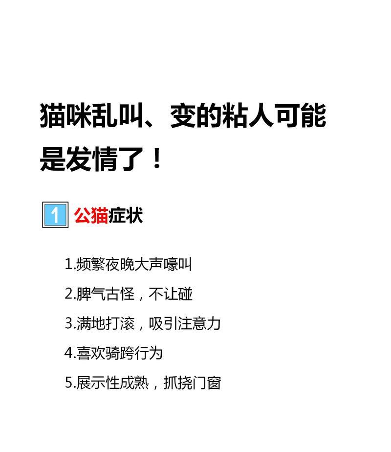 公猫四个月大为什么乱尿尿？（探究公猫乱尿尿的原因及解决方法）
