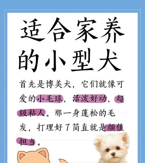 博美犬的饮食指南（博美犬的饮食概述及食物推荐）