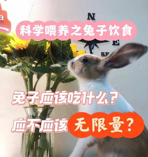 兔子的适宜食物选择（兔子饮食指南）