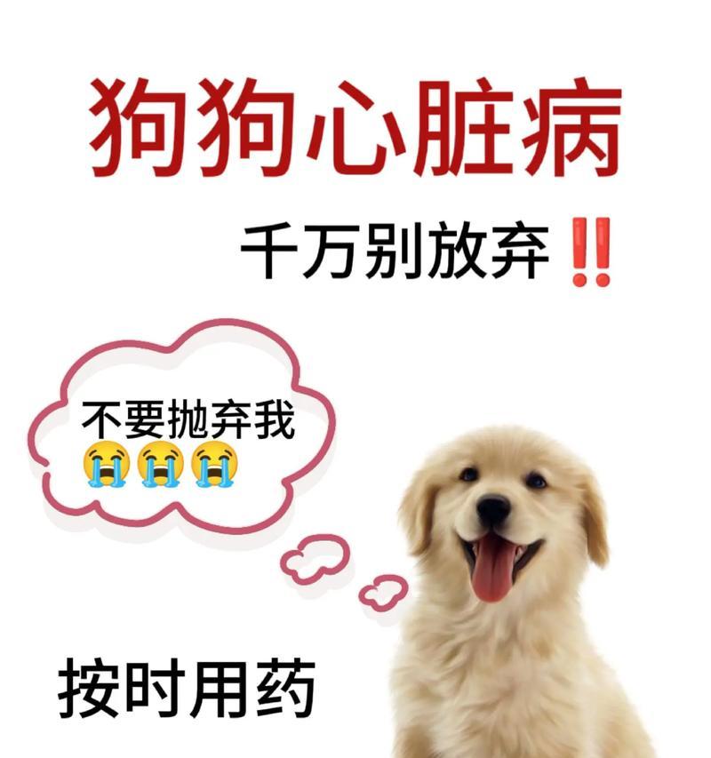 以狗为什么会心脏大（探讨狗的心脏大小与功能的关系）