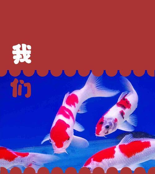 以水池养锦鲤的最佳水草选择（打造理想的锦鲤水景，选择合适的水草是关键）