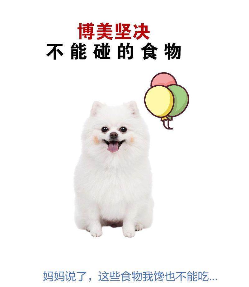 博美犬饮食禁忌——千万别让它们吃这些东西！（了解博美犬饮食禁忌，让你的宠物更加健康快乐）