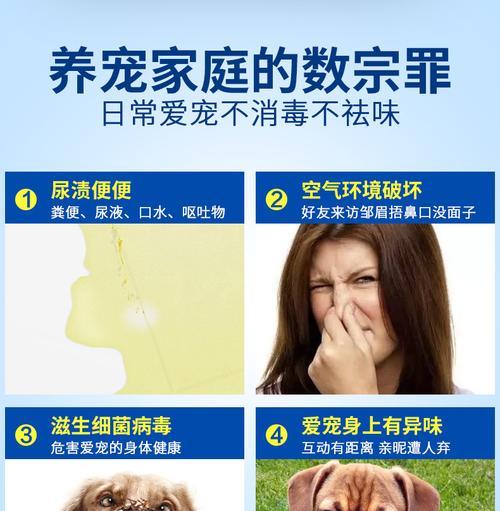 消除狗尿便味的有效方法（让您的家庭清新无臭，狗狗健康舒适）