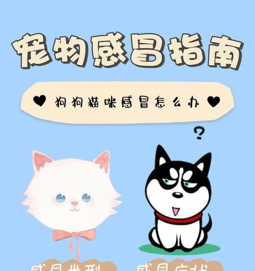 宠物感冒的饮食护理与预防方法（宠物感冒如何调理饮食，让它们快速恢复健康）