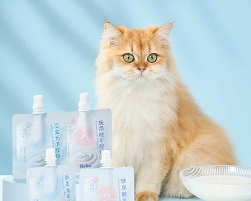 猫咪补钙的重要性（掌握正确时机，让猫咪健康成长）