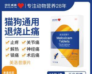 狗狗退烧秘籍（帮助狗狗退烧，为你的宠物提供健康饮食）