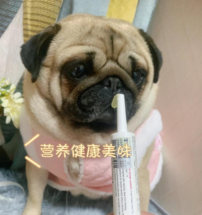 狗免疫（了解狗免疫的重要性及其实施方法）