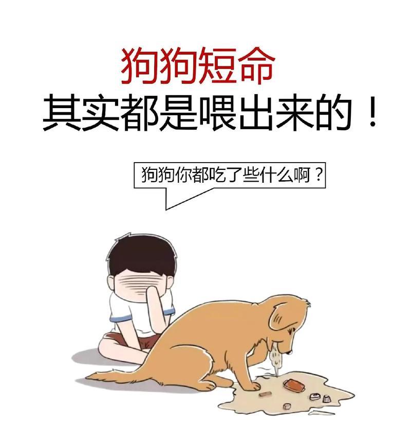 狗生前的准备与注意事项（充分准备是为了宝贝狗狗的健康成长）