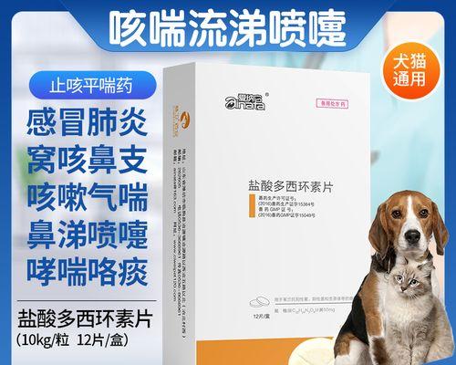 狗狗不能吃的药物有哪些？（宠物主人必看！保护你的狗狗免受有害药物的伤害）