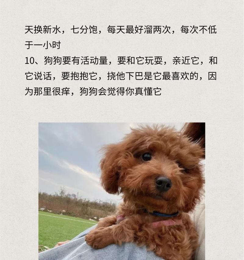 给狗狗选择合适的羊奶粉（狗狗饮食必备，了解羊奶粉的选择和适用性）