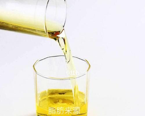狗什么时候可以吃狗粮？（了解合适的饮食时间和转换方法）