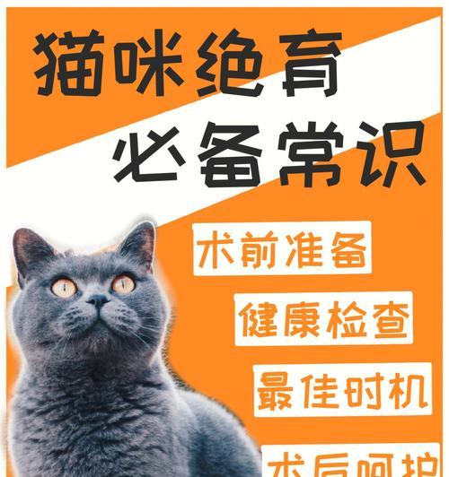 猫咪绝育时机（合适的绝育时机对猫咪来说至关重要）