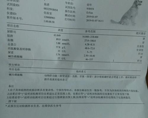 如何治疗狗瘟？（选择合适药物来缓解狗瘟症状）