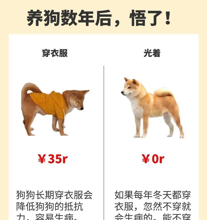 胰腺炎狗狗的饮食注意事项（了解症状、调整饮食方案，帮助宠物康复）