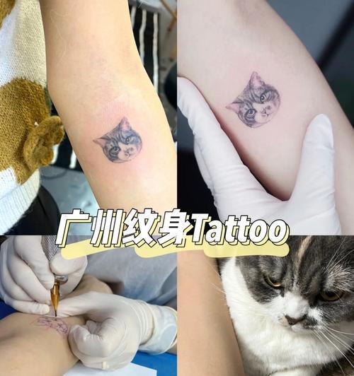 纹猫咪的意义与象征（探索纹猫咪的文化象征和精神内涵）
