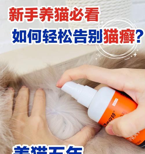 如何消毒家里以防止猫癣传播（安全有效的消毒方法及预防措施）