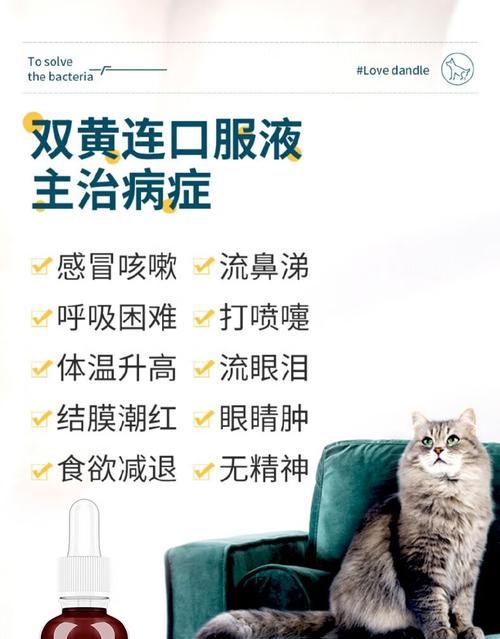 狗狗感冒咳嗽怎么办？药物治疗一览（为你的爱犬选择合适的药物治疗感冒咳嗽问题）