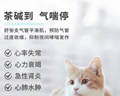 狗心脏病的药物治疗方法（了解狗心脏病的常用药物及其作用机制）