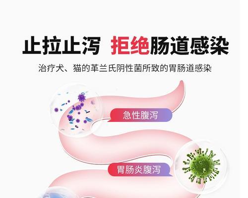 狗胃炎的消炎药有哪些选择？（选择正确消炎药物，帮助狗狗恢复胃健康）