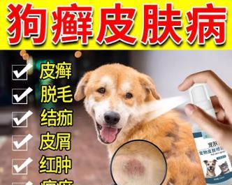 狗翻肠子需要用什么药物进行处理？（了解狗翻肠子的原因及药物治疗的有效性）