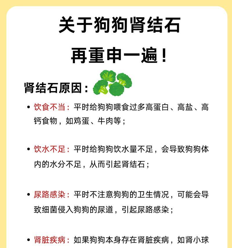 预防和治疗狗得尿结石的方法（营养饮食和草药治疗是关键）