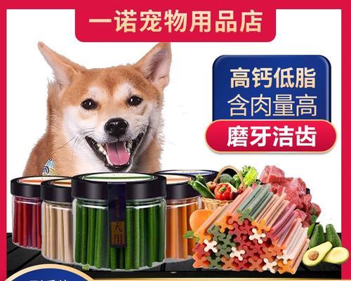比熊宠物狗的饮食指南（了解比熊狗的饮食需求，帮助它们保持健康与活力）