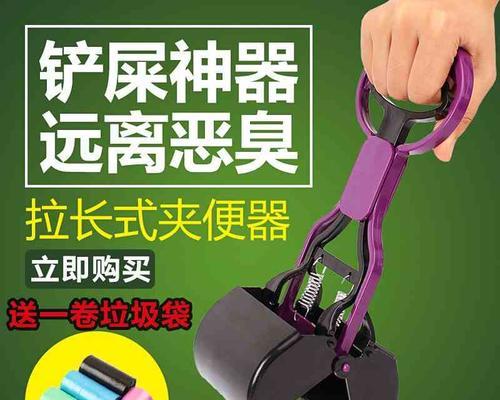 小泰迪为何会拉黑屎？（揭秘小泰迪拉黑屎的原因及解决方法）