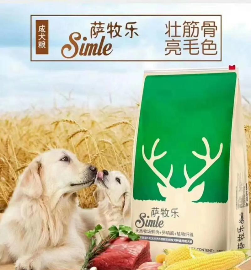 大型成年犬的合适狗粮选择（为您的大型成年犬提供健康饮食的重要指南）